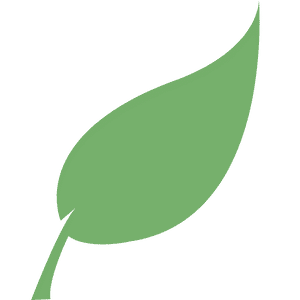 icon of green leaf