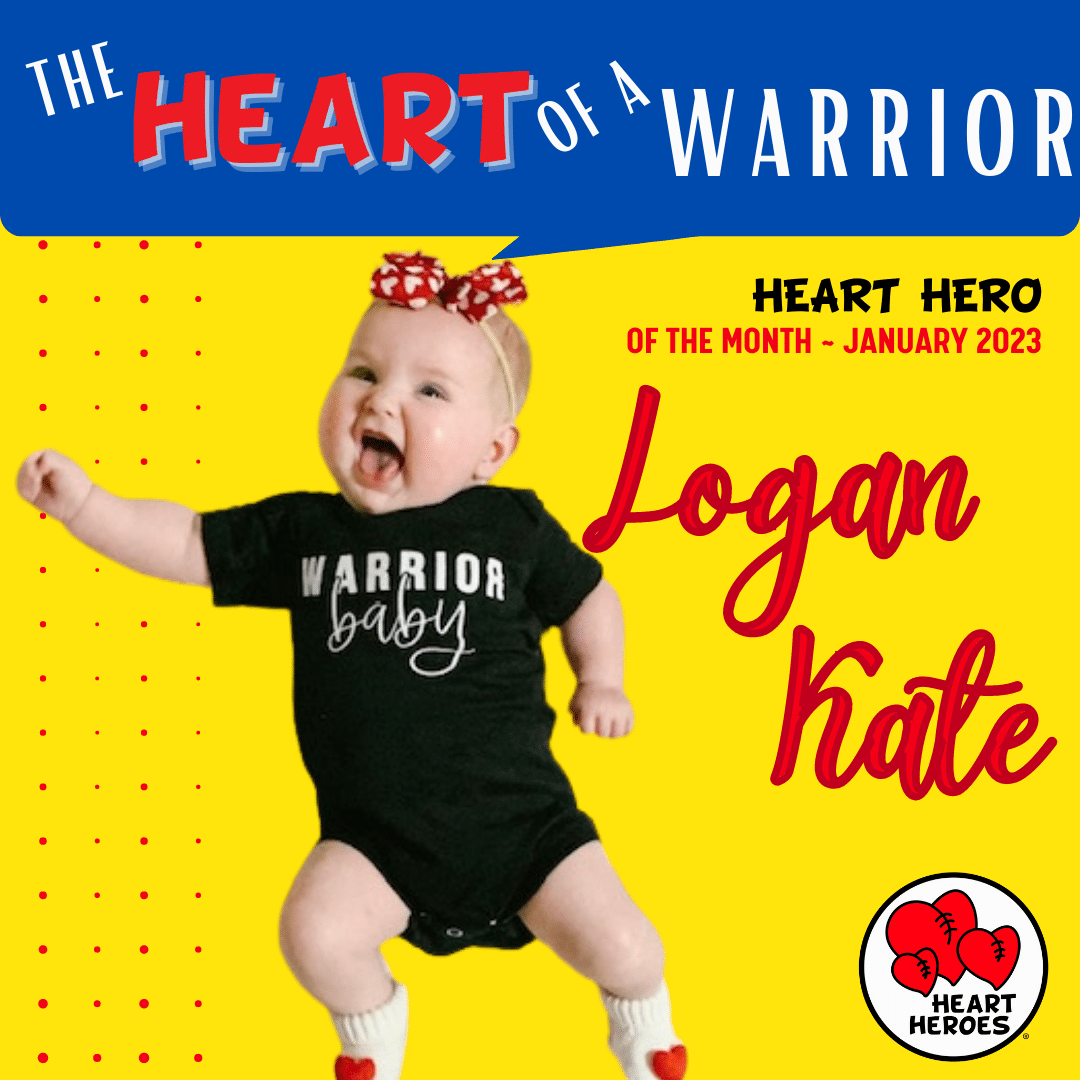 HEART HERO LOGAN KATE Heart Heroes